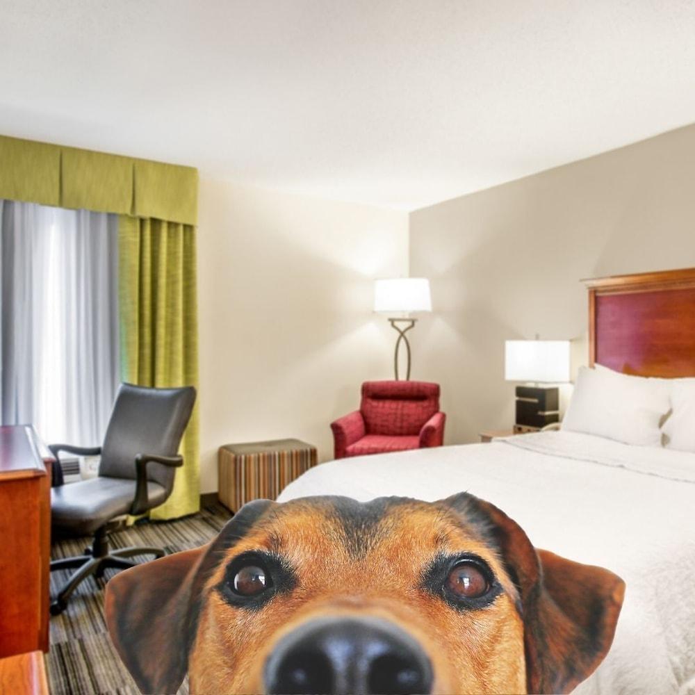 Hampton Inn Bowling Green Ky Exterior photo